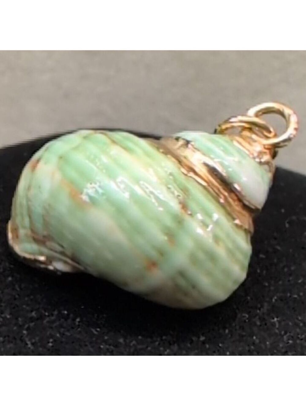 New Green Seashell Spiral Pendant Necklace Charm Real Gold Trim Sea Shell  Beach